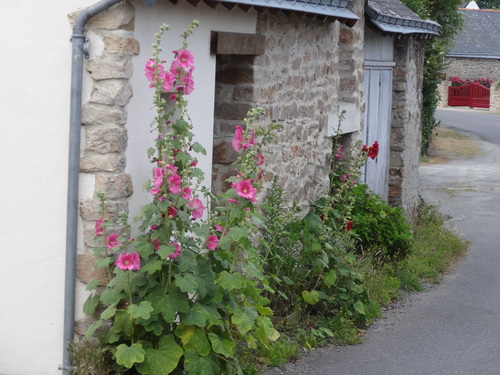 Des fleurs et des couleurs du coté de SaintSébastien (Piriac)