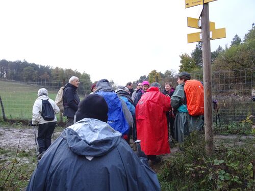 "Crocos du Canal" - Mercredi 13 novembre 2019