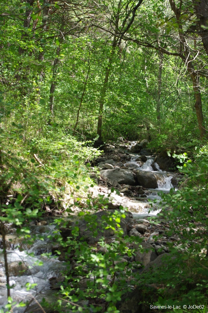 Qu'est-ce qu'une zone humide ?