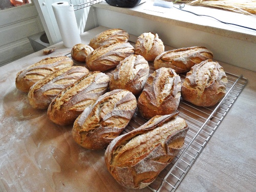 Bientôt l'ouverture d'une boulangerie artisanale à Montliot...