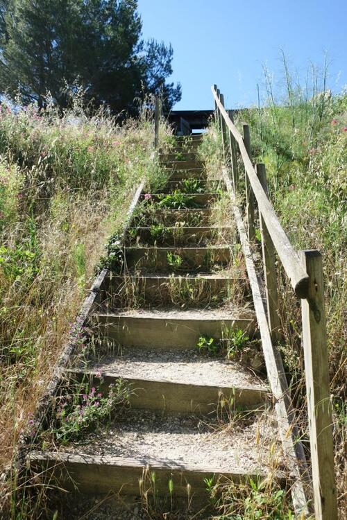 Escaliers menant à l'Observatoire ornithologique de Mérindol 
