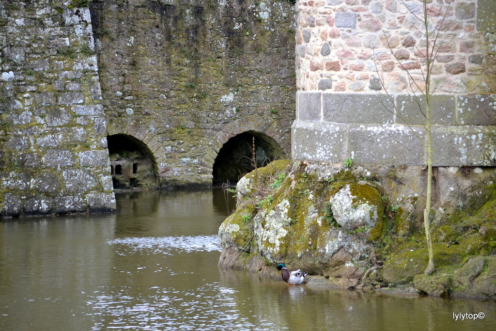 Le chateau de Flamanville