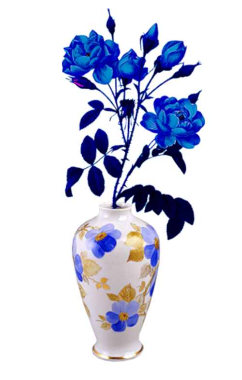 Fleurs dans Vase etc  /4