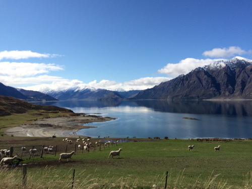 Entre lacs et montagnes ! NZ