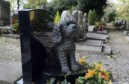 cimetière animaux en France