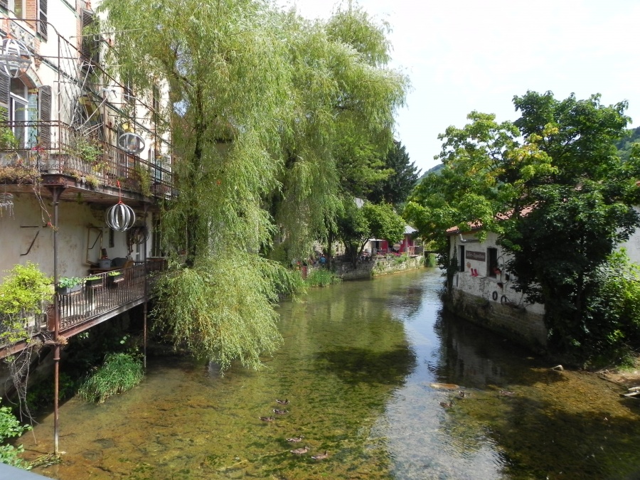 Arbois dans le Jura