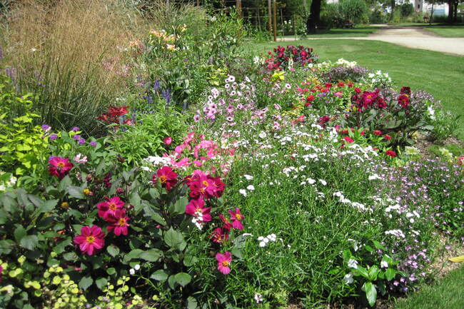 Le jardin public de Mimizan en juillet