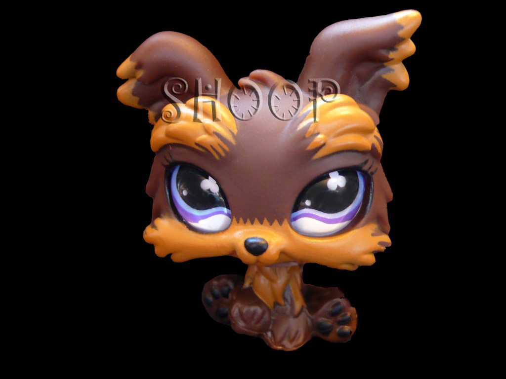 littlest pet shop 0509