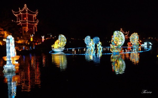 Jardin botanique chinois nuit (16)