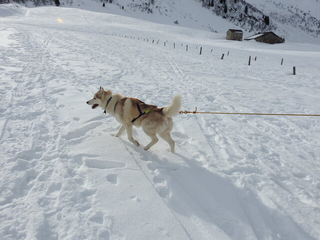 Le col des Aravis