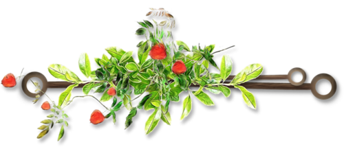 Geronimo - Possédés 