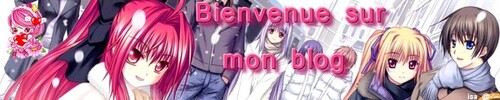 Voilà pour vos blog !!!