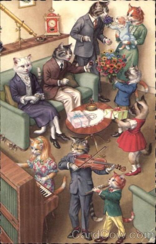 Famille chats