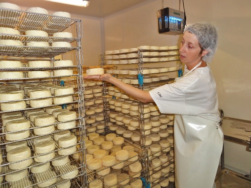 Visite de la fromagerie des Marronniers à Origny sur Seine...