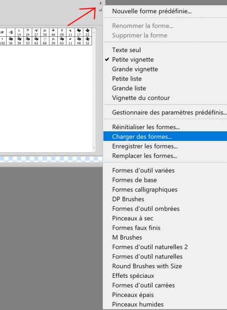 Les pinceaux et la gomme sur Cs5
