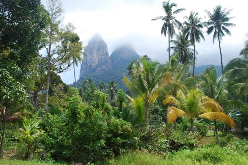 Mardi 23 juillet Cascade et snorkeling