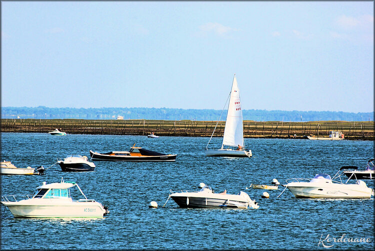 Bateaux de plaisance (Lège - Cap Ferret)