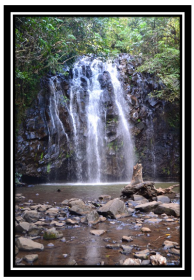 Millaa Millaa et Water Falls Circuit