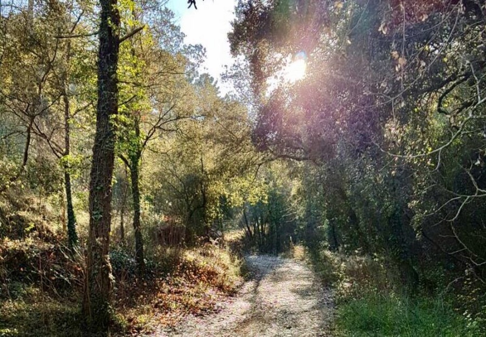 Promenade au fil de l'eau de la Bragues