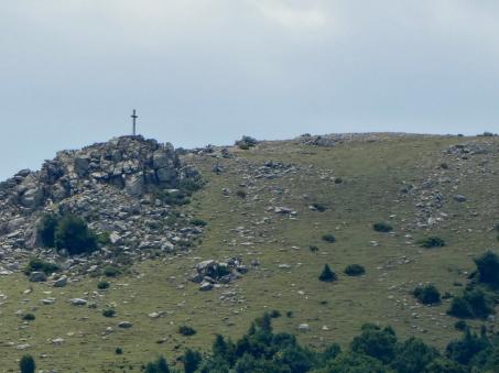 Peut être une image de nature