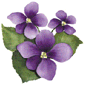 Secret de violettes...