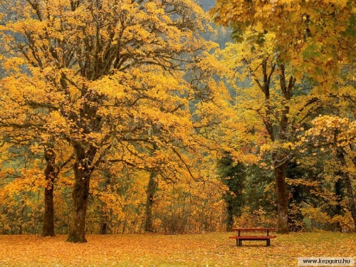 Paysages automne/Őszi tájképek