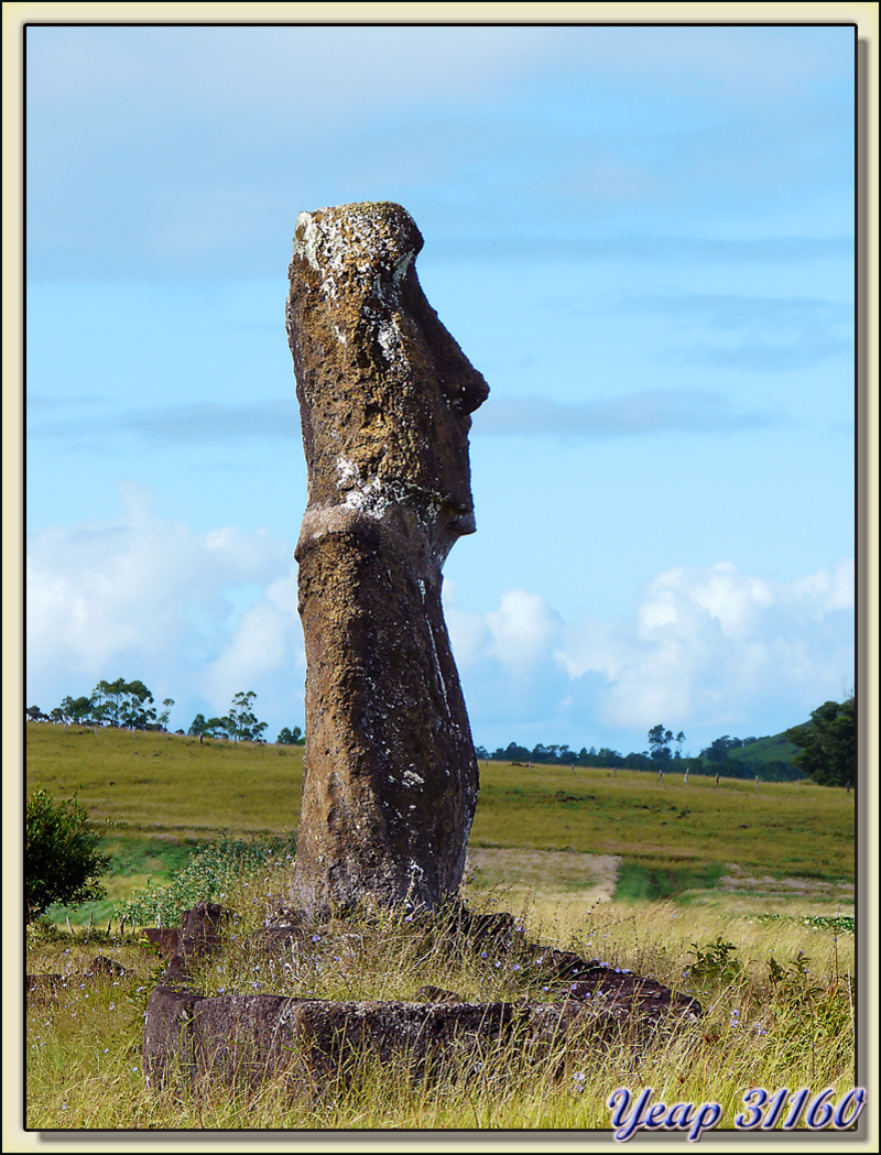 Un Moai peut en cacher plusieurs autres - Ahu Akivi - Rapa Nui (île de Pâques) - Chili