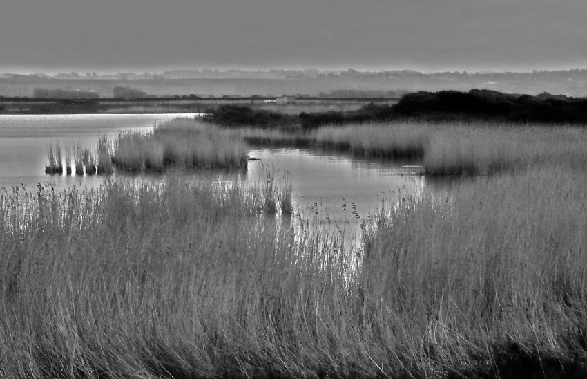 la baie de somme