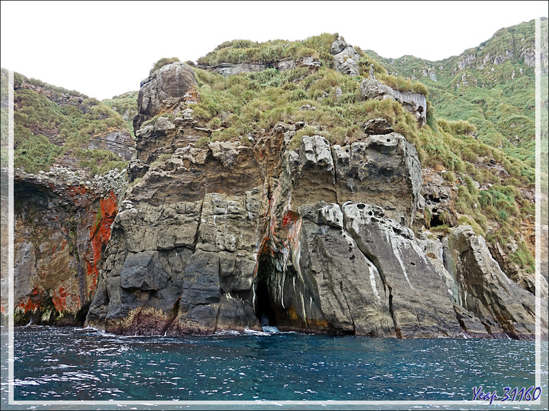 Dernières falaises, dernières grottes ...  - Nightingale Island - Tristan da Cunha