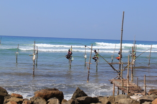 Galle et la côte Sud de l'isle du 27 février au 4 mars 2015