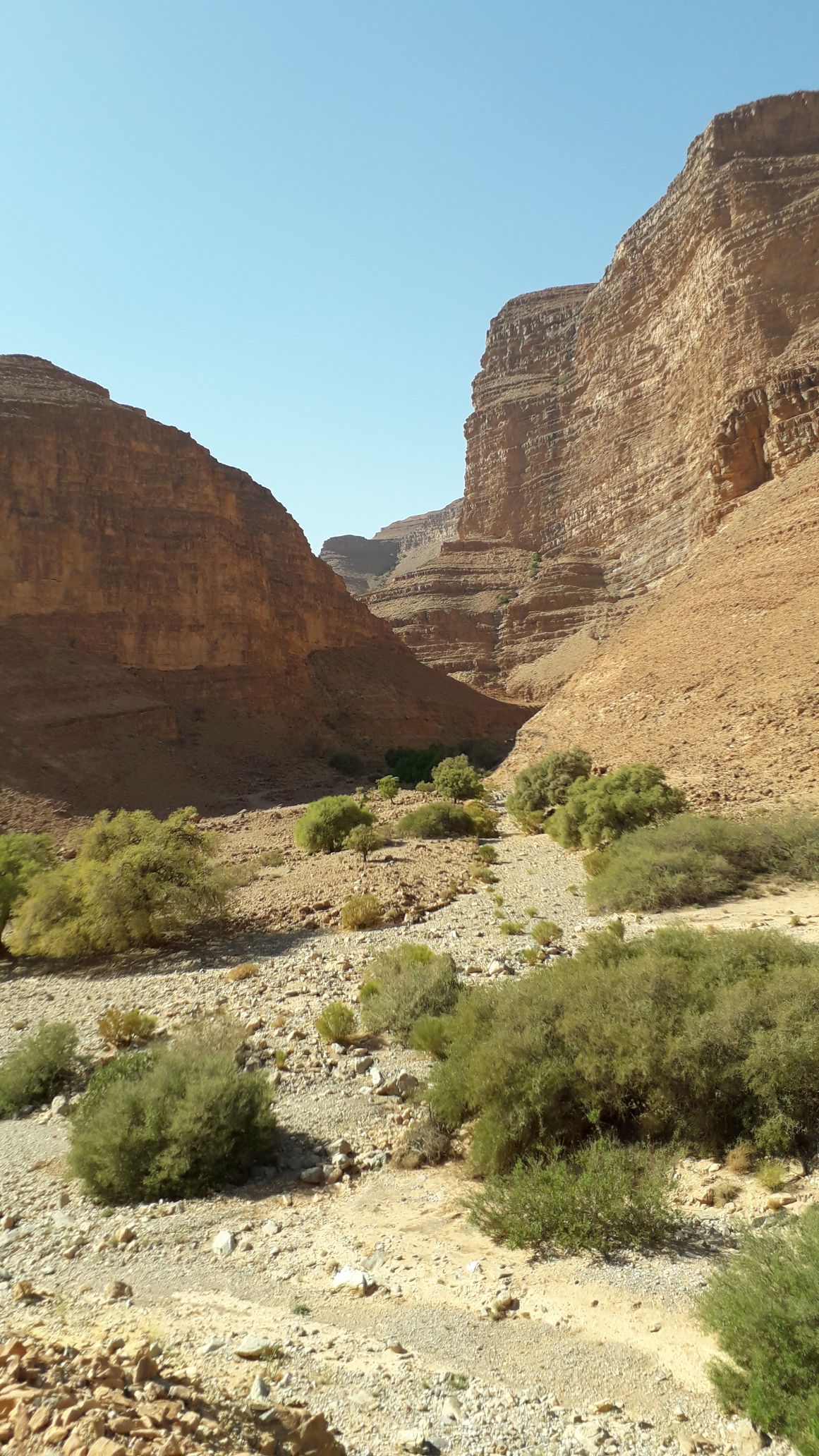 Ait Mansour