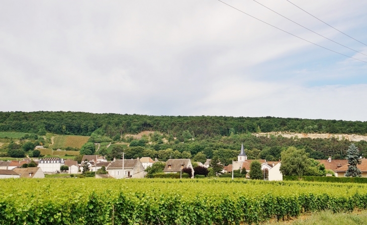 La Commune - Chassagne-Montrachet