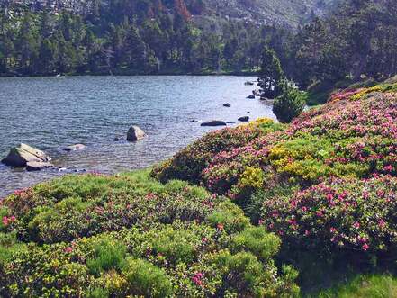 Des merveilles au pays d'Alysse - Le Tour du Coronat - 2eme jour L'Estany del Clot (1.640 m) - Lac de Nohèdes ou Gorg Estelat (2.022 m) - Lac d'Evol ou Gorg Nègre (2.083 m) - Jujols (940 m) 20 kms.