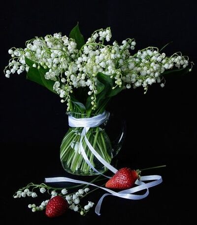 Muguet