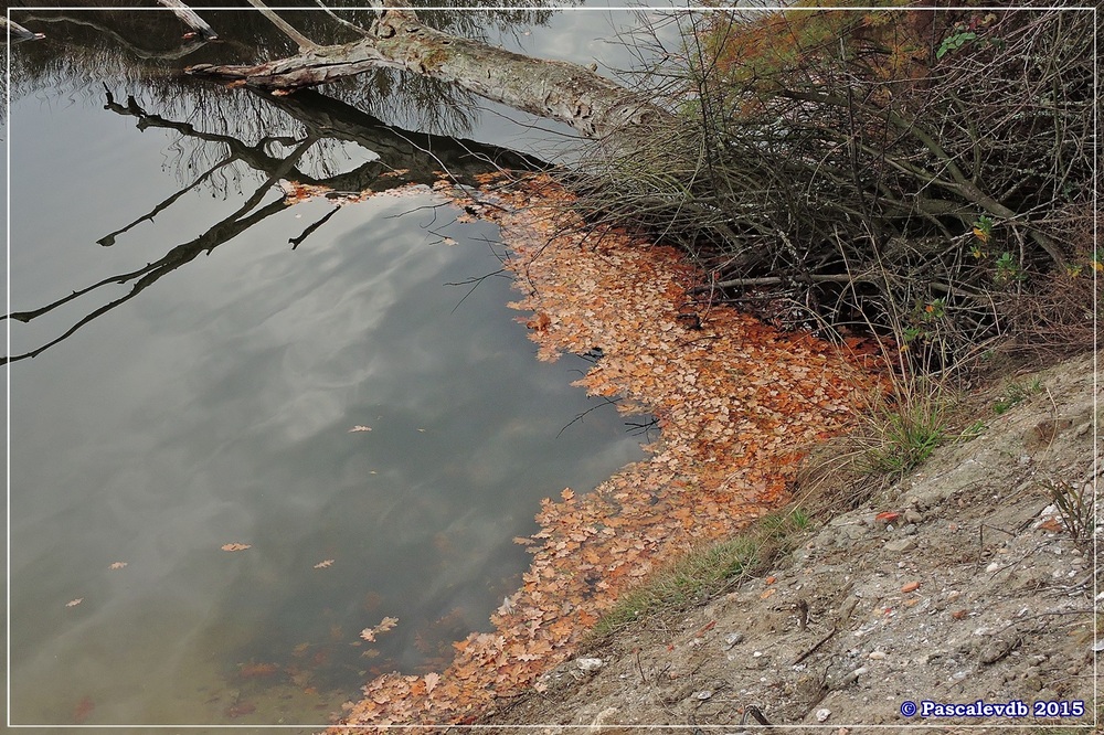 Tour du domaine de Graveyron - Décembre 2015 - 1/5