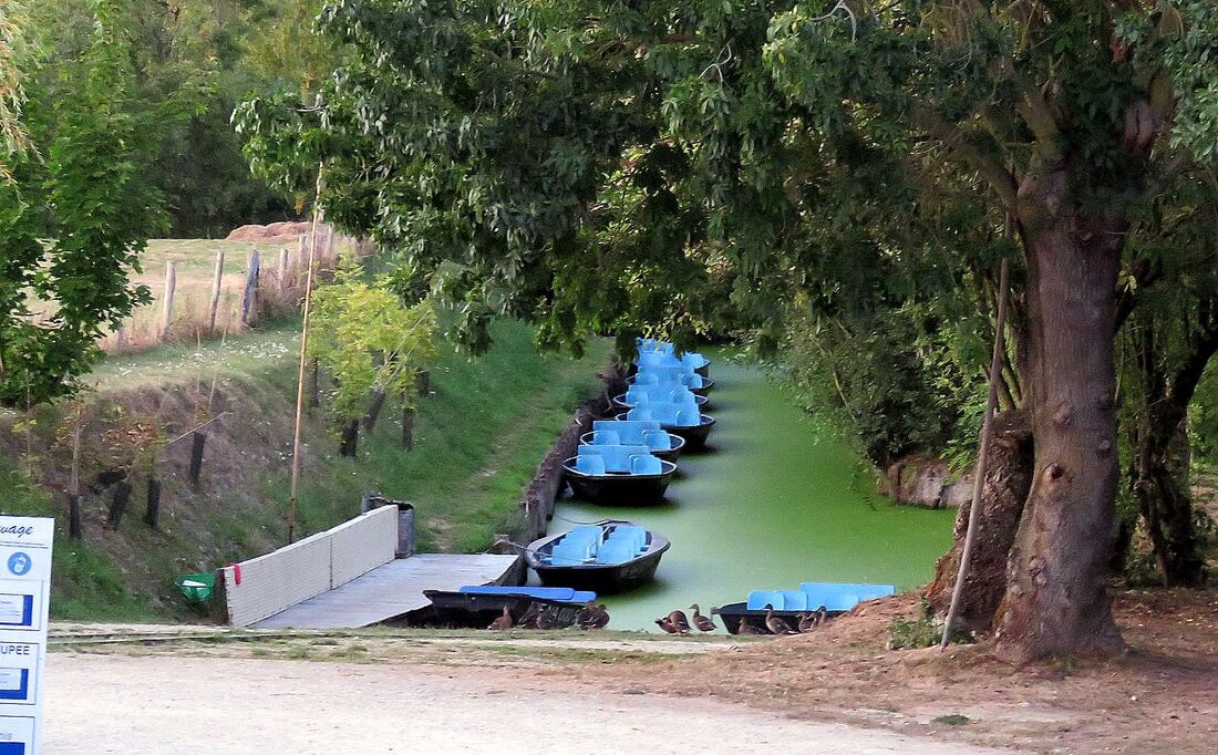 Maillezais dans le marais Poitevin