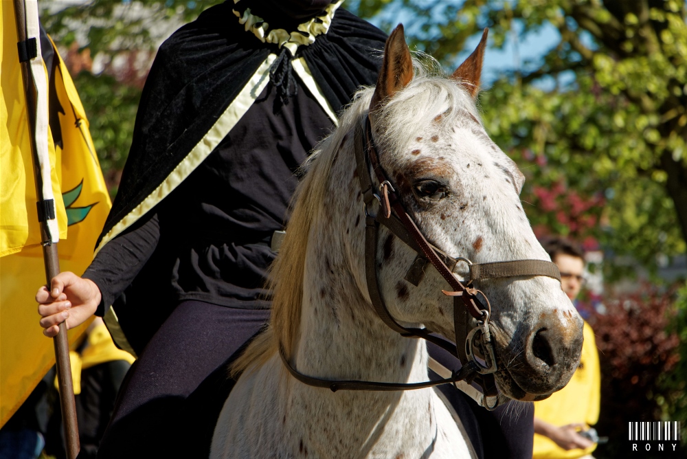 Procession Sainte Waudru de Frameries Edion 2016