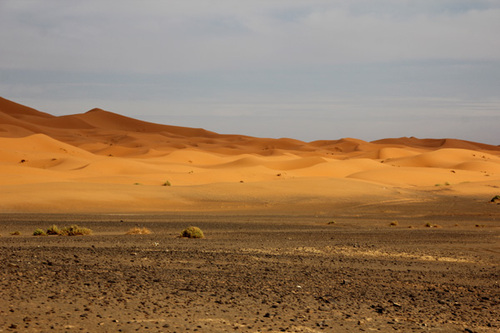 De Azrou à Merzouga