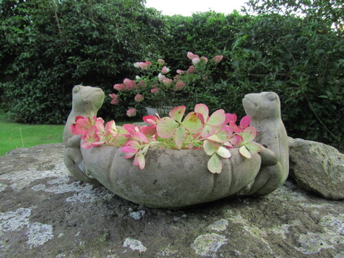 Aux quatre coins du jardin