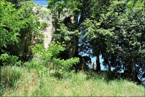 Photos de l'arrière du Château de Vayres (Gironde)