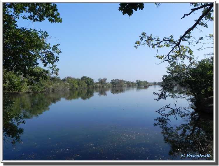 Parc ornithologique du Teich