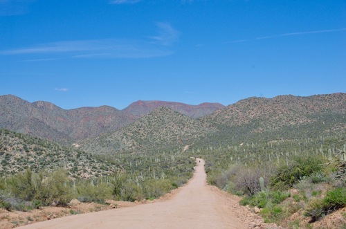 Jour 14 - l'Apache Trail, Tonto National Forest, Arizona