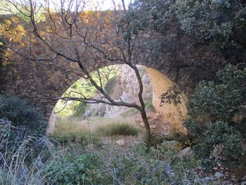 Le pont au débouché du vallon de la Grille, et le départ du chemin vers les Bonnes Herbes