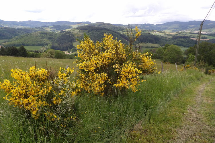 La campagne Beaujolaise...