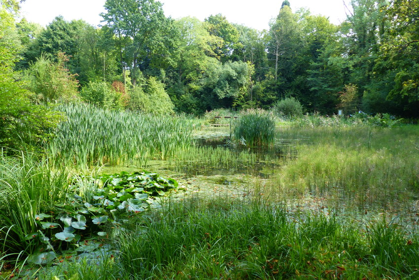 Jardin Botanique Jean Massart... 