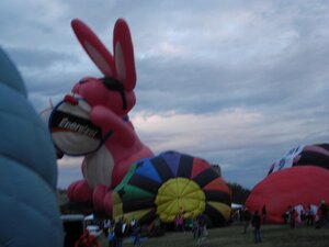 season balloons australia kangaroos koalas