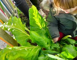 maternelle : atelier cuisine