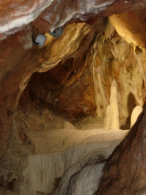 Les CP et les CLIS explorent les grottes d'Azé