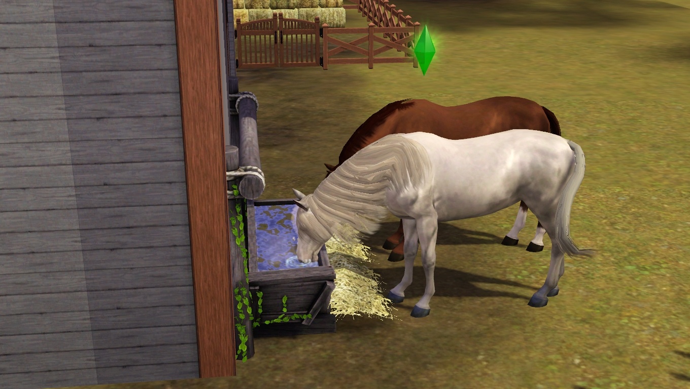Mes début avec animaux et compagnie - Les Sims 3 et 4 Le Mag