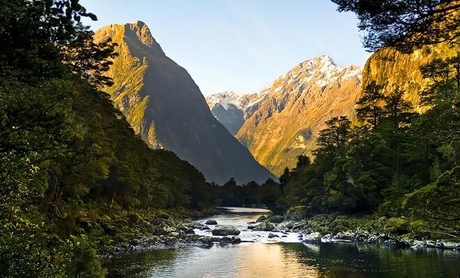 Parce que le pays fut le dernier à être découvert par l'homme, la Nouvelle-Zélande possède un écosystème unique et de nombreuses espèces animales uniques au monde.